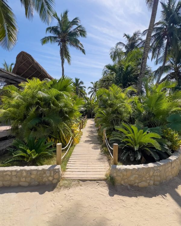 Pasadía Palmarito Beach - Image 11