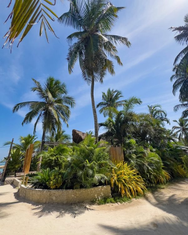 Pasadía Palmarito Beach - Image 12