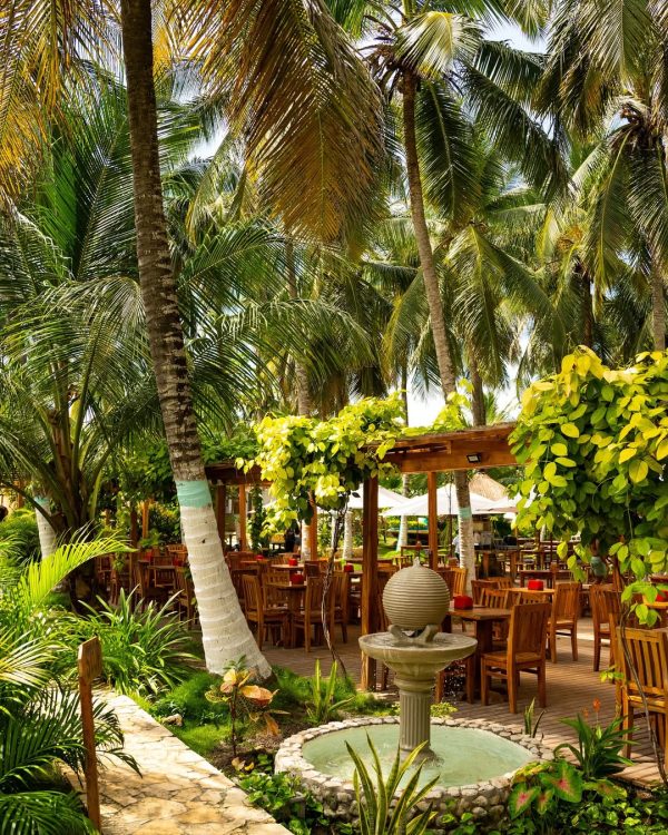 Pasadía Palmarito Beach - Image 13